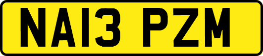 NA13PZM