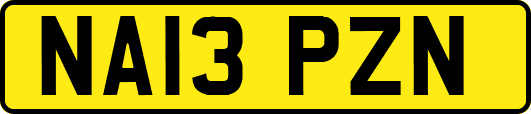 NA13PZN