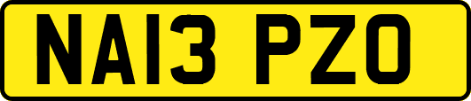NA13PZO