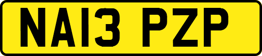 NA13PZP