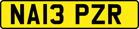 NA13PZR