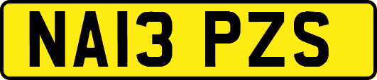 NA13PZS