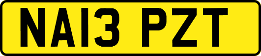 NA13PZT