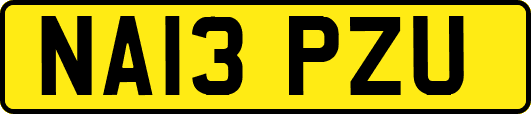 NA13PZU