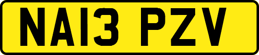NA13PZV