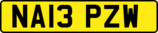 NA13PZW