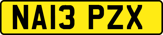 NA13PZX