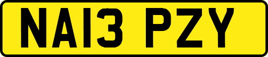 NA13PZY