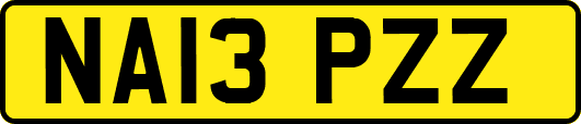 NA13PZZ