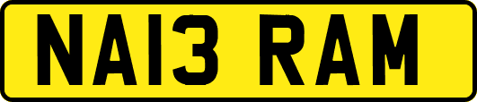 NA13RAM