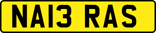 NA13RAS