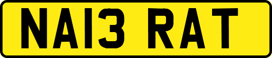 NA13RAT