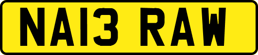 NA13RAW