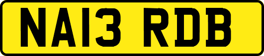 NA13RDB