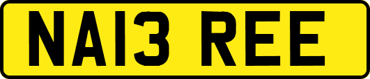 NA13REE
