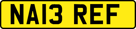 NA13REF