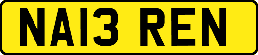 NA13REN