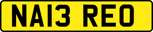NA13REO