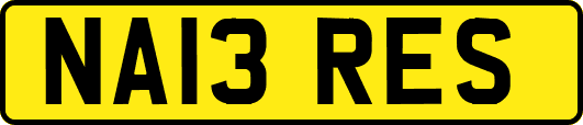 NA13RES