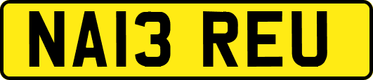 NA13REU
