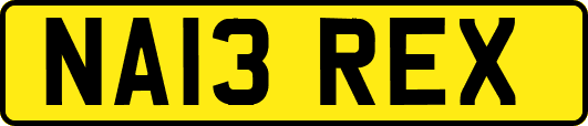 NA13REX