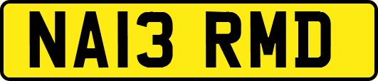 NA13RMD