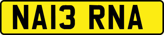 NA13RNA