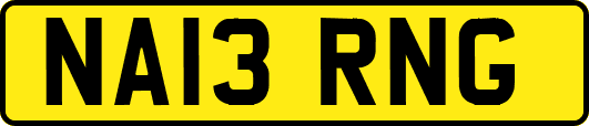 NA13RNG