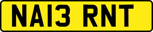 NA13RNT