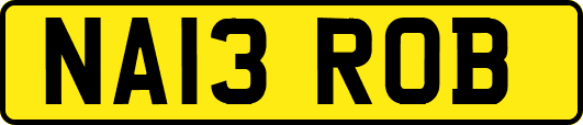 NA13ROB
