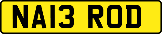 NA13ROD