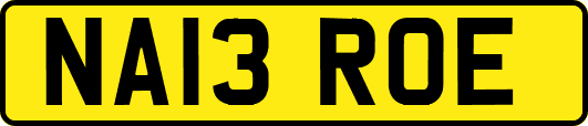 NA13ROE