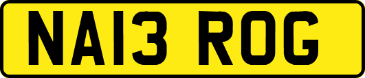 NA13ROG