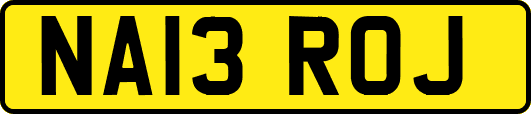 NA13ROJ