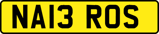 NA13ROS
