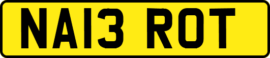 NA13ROT