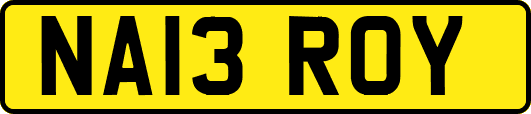 NA13ROY