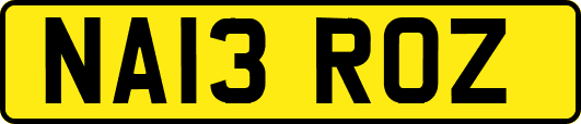 NA13ROZ