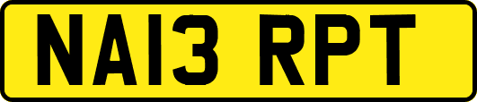 NA13RPT