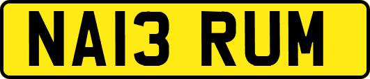 NA13RUM