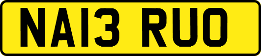 NA13RUO