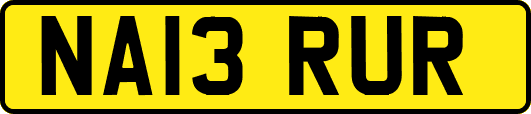 NA13RUR