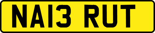 NA13RUT
