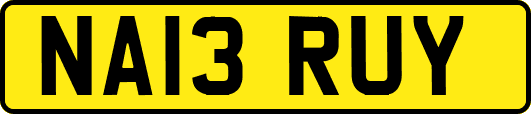 NA13RUY