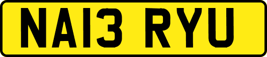 NA13RYU