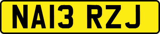 NA13RZJ