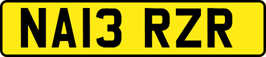 NA13RZR