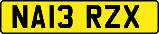 NA13RZX