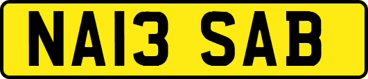 NA13SAB