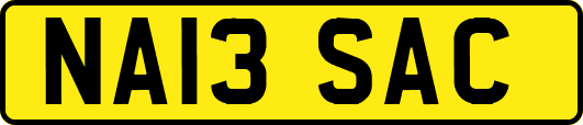 NA13SAC